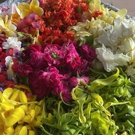 Mandian bunga 7 jenis sekali mandi