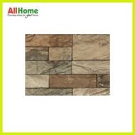 ✒ ❃ ◪ Mariwasa Digitile 30X60 Greco Brown Tiles for Wall and Floor