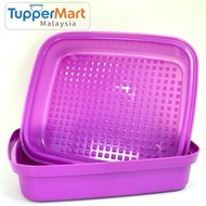 Tupperware Season Serve purple 1.9L (1pc)