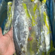 Ikan Tenggiri Masam Bajet