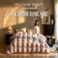 95% White Goose Down Quilt Light Warm Fluffy Duvet Insert Soft Comforter for All Season Bedroom