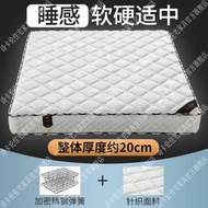 Others - 席夢思床墊 軟硬兩用家用雙人經濟型椰棕彈簧床墊