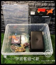 蛋叔叔-守宮飼養套組 C款 守宮屋 水盆 食盆 爬蟲箱 整理箱 昆蟲盒 豹紋守宮 豹貓 肥尾守宮 蠍子 蜘蛛 整理盒