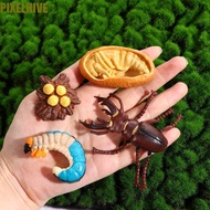 PIXELHIVE​ Growth Cycle Model Kids Toy Science Toy Insect Animals Educational For Kid Butterfly Grow