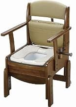 Richell Wooden Toilet, Compact, Fixed Armrest Type, Exgel Toilet Seat