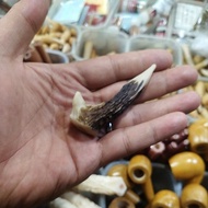 Pipa rokok model cabang tanduk rusa