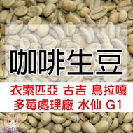 1kg生豆 衣索匹亞 古吉 鳥拉嘎 多莓處理廠 水仙 G1 - 世界咖啡生豆《咖啡生豆工廠×尋豆~只為飄香台灣》咖啡生豆