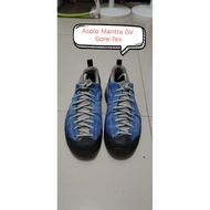 Asolo Low Gore-Tex Hiking Shoes