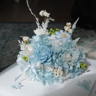 永生蛋糕花 / 索拉花 乾燥花 不凋花 奶油繡球 生日 baby blue