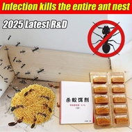 2025 Latest R&D！Ant killer powder Ant poison Ant powder Racun semut berkesan Ubat semut serbuk Ant b