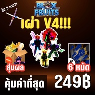 สุดโหด ไก่ตัน เผ่า V4 พร้อมผลเทพและสุ่มดาบแรร์! BLOX FRUITS LEVEL 2450 (MAXED) ปลอดภัย ใช้มือฟาร์ม ไ