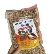 Javan Bird's Nest Mixed Seeds - Genuine Javan Bird's Nest Mixed Seeds