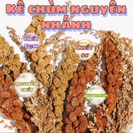 Smooth millet for hamsters, birds, chickens, parrots, pigeons...