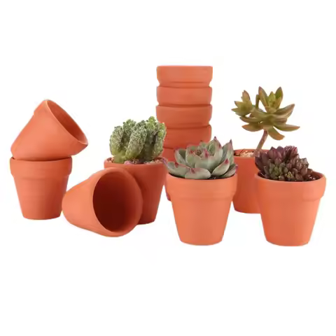 12 Pcs 2.2'' Terra Cotta Pots Pottery Planter Cactus Flower Pot Succulent Pot with Drainage Hole- Gr