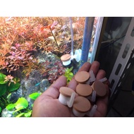 Cisod ragul co2 Diffuser And Tube