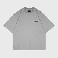 EPIDEMIC T-SHIRT - CHARISMALUX BOXY TS LIGHT GREY