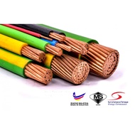[READY STOCK] CABLE SIRIM APPROVED PURE COPPER 100% 2.5 MM² CU/PVC WIRE