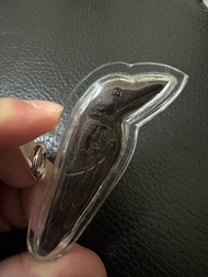 阿贊堆 沙力架 人緣鳥