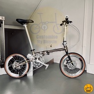 Fnhon Gust 18” inches • 9 Speeds Shimano • Crius Foldable Folding Foldie Folding Bike Bicycle Titanium Silver Gold