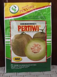 Benih Bibit Melon Tahan Virus F1 PERTIWI 600 biji