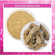 Ibu gamat putih asli kering Langkawi (Holothuroidea) (15g/ 25g) Sea Cucumber, timun laut, teripang