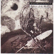 David Sylvian - Secrets Of The Beehive (1987 Virgin  0777 7 86028 2 USA version) Digital Music Downl