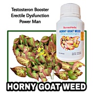 Kapsul Epimedium Horny goat leaf ( rawat mati pucuk tenaga batin kuat)
