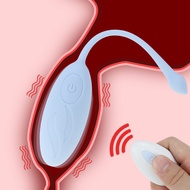 Wireless Remote Control Vibrating Bullet Egg Vibrator Sex Toys for Woman USB Recharging Clitoris