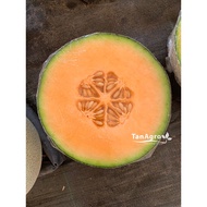 👉🏻ORIGINAL👈🏻 Melon Supreme Rock Melon 10seeds
