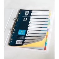 A4 Index Divider / File Index Separator 12 Colors | Protector Sheet 10pcs