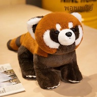 เหมือนจริงแพนด้าแดงตุ๊กตาสัตว์ Raccoon Plush ของเล่นน่ารัก Panda Plushie ของขวัญของเล่นสําหรับเด็กแฟ