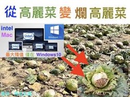 (601)『示警』intel Mac正在變成『爛』高麗菜＝沒有合法啟用Windows10的，確實符合用途再買！