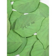 Sticky Notes ins High-End Creative Leaf Notes Notes Takeaway Cute Notes diy Message Book Label Stick