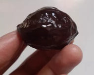 muncang ngadu jaLim Anak Kebo ori Mayit Jawa Yang Terkuat Jenis Mayit ORI Jawa Wonosobi Nyonyo Murah