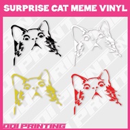 SURPRISE CAT Cute Kuching Meme Vinyl sticker oracal Cat Sticker For Car Motorcycle Accessories