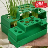 [Free Ship] Garlic Seedling Case - Scallion Hydroponic Planter - Soilless Cilantro Growing Pots - Ro