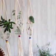 プラントハンガー / ハンギングプラント　Plant Hanger