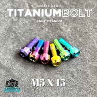 Titanium Bolts Small Head M5 x 15 Original GR5 Titanium Bolts