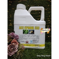 4L Acc Fipronil 5sc / Racun Serangga Insecticide Anai Anai / Semut / Regent / Chalcid 5.0 / Fipest 5