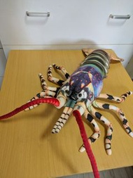 ［已捐贈］搶眼👀生猛大龍蝦60cm 龍蝦大公仔  🦐水產店海鮮店裝飾適用 吸睛👀  尾圖壽司郎吞拿魚海獺