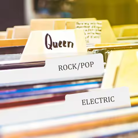 Vinyl Record Divider Durable Plastic Index Card Practical Record Classification Label for Efficient 