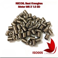 Recoil M6X1.0 2D Recoil Bolt Key 10