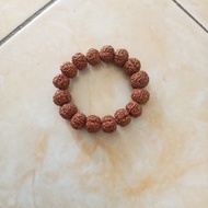 gelang biji Jenitri rudraksha asli kualitas super premium