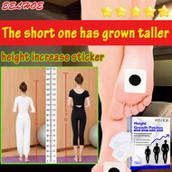 C  60pcs height enhancer increase shoes/shoe supplement gloxi gloxy growth increasing foot patch