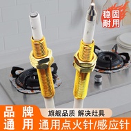 Gas Stove Ignition Needle Induction Needle Universal Gas Stove Lighter with Wire Copper Needle Induc