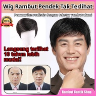 [Professional & natural appearance for adult men] | Business men's Wig | Men's wigs natural | Realis