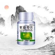 Guangyu Pharmaceutical Winter Grass Tablets 0.26g * 100 Tablets/Box Frequent Voices Matte Matte Thro