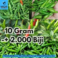 JaBit - 10gr Benih Cabe Rawit Hijau Lalap Tipe Tegak Lokal Cabe Rancung Japlak Gunung Caplak Bibit C