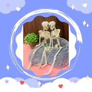 Meditech HUMAN BONE MODEL