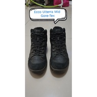 Ecco Mid Gore-Tex Hiking Shoes